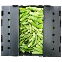 Panier Express Gombo frais 3kg Flash Sale