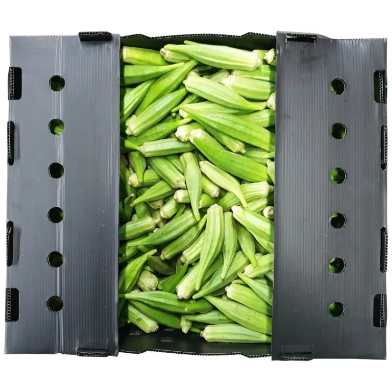 Panier Express Gombo frais 3kg Flash Sale